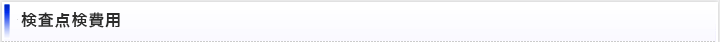 検査点検費用